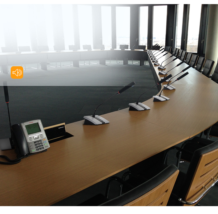 狮乐(SHILE) YW-6无线会议话筒系统 1台主机+1个主席机话筒+9个代表机话筒 大型会议多话筒解决方案-京东