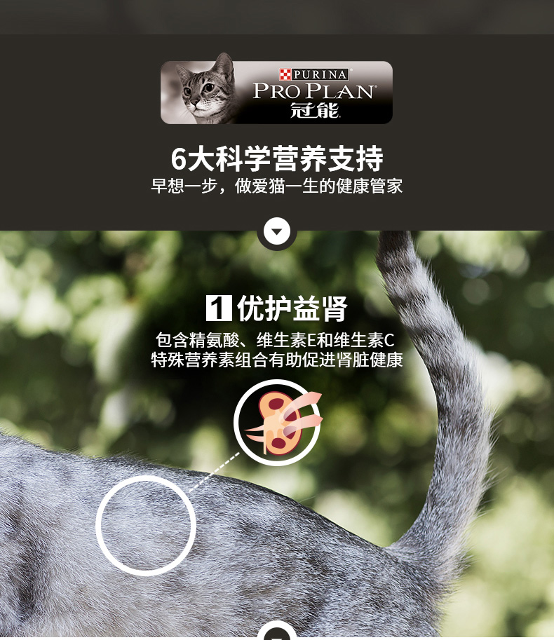 冠能(PRO PLAN)宠物成猫猫粮 挑嘴美毛2.5kg 益肾配方-京东