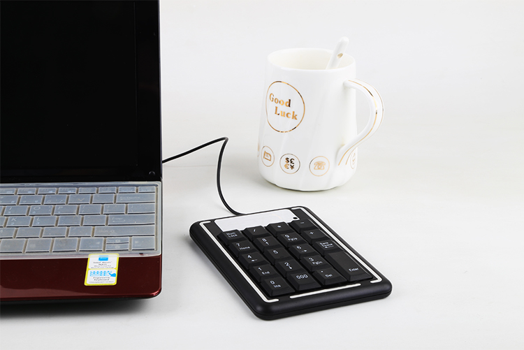 吉选 （GESOBYTE）K100USB有线数字小键盘 黑色  迷你 掌中宝 即插即用、商务、财务等用户数字输入设备-京东