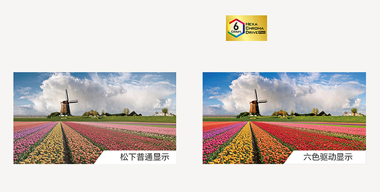 松下（ Panasonic）电视 TH-55EX600C 55英寸六色4K超高清型  HDR智能IPS硬屏液晶电视机（黑色）-京东