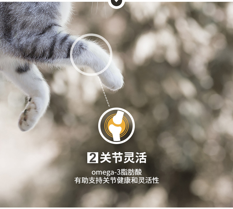 冠能(PRO PLAN)宠物成猫猫粮 挑嘴美毛2.5kg 益肾配方-京东