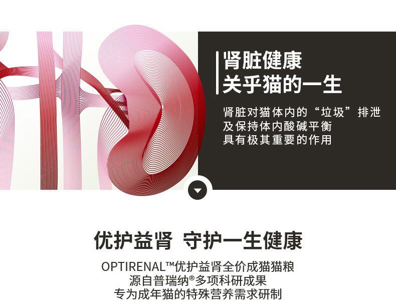 冠能(PRO PLAN)宠物成猫猫粮 挑嘴美毛2.5kg 益肾配方-京东