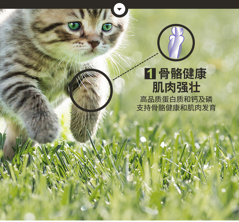冠能(PRO PLAN)宠物幼猫猫粮 怀孕哺乳期猫及幼猫400g 牛初乳配方-京东