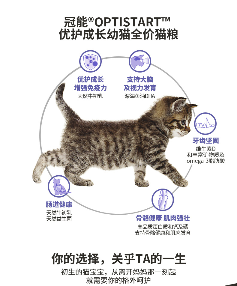冠能(PRO PLAN)宠物幼猫猫粮 怀孕哺乳期猫及幼猫400g 牛初乳配方-京东