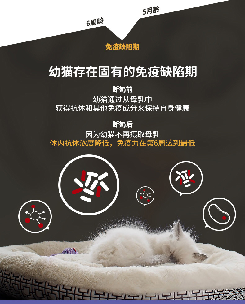冠能(PRO PLAN)宠物幼猫猫粮 怀孕哺乳期猫及幼猫400g 牛初乳配方-京东