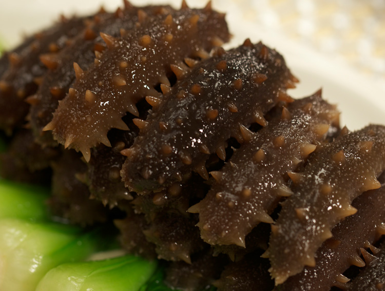 棒棰岛 大连淡干海参100g 27-32头 礼盒装 海鲜水产