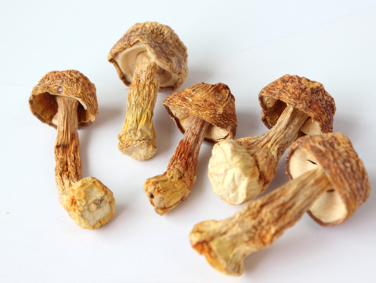 禾煜 姬松茸(巴西蘑菇 姬松菇 云南特产 干货)80g