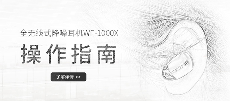 索尼（SONY）全无线式蓝牙降噪耳机 降噪豆 WF-1000X（黑色）-京东
