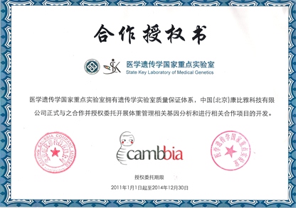 进口彩妆市场的未来趋势与采购秘诀