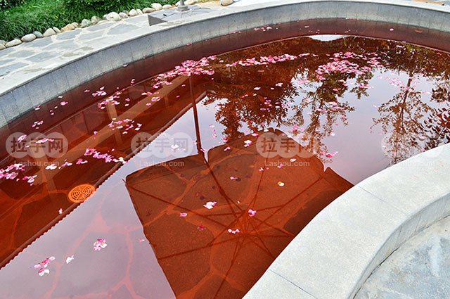 大秦温泉养生苑单人票 团购 - 京东团购西安站