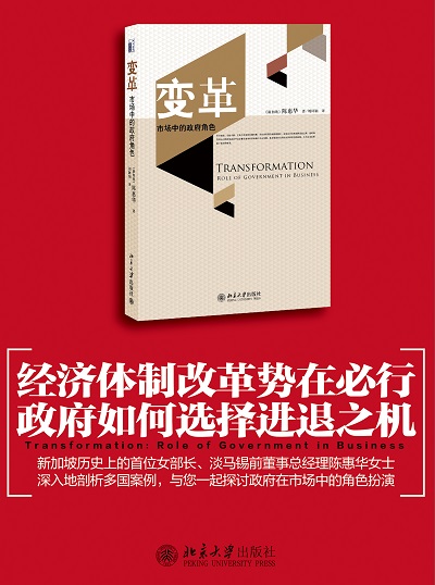 变革:市场中的政府角色