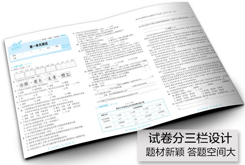 53天天练同步试卷 53全优卷 新题型版 小学语文 六年级下 rj(人教版)