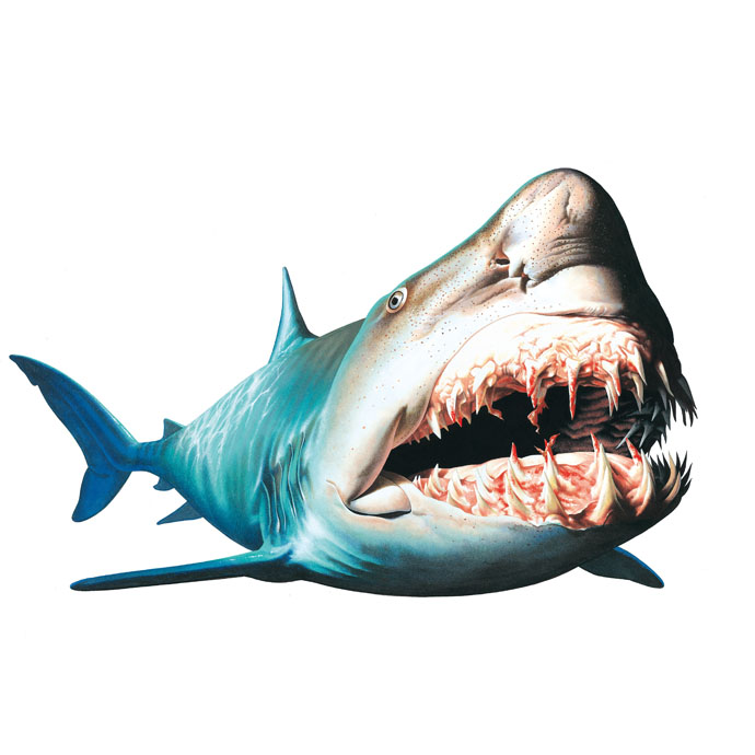 鲨鱼大冒险海洋怪物小百科