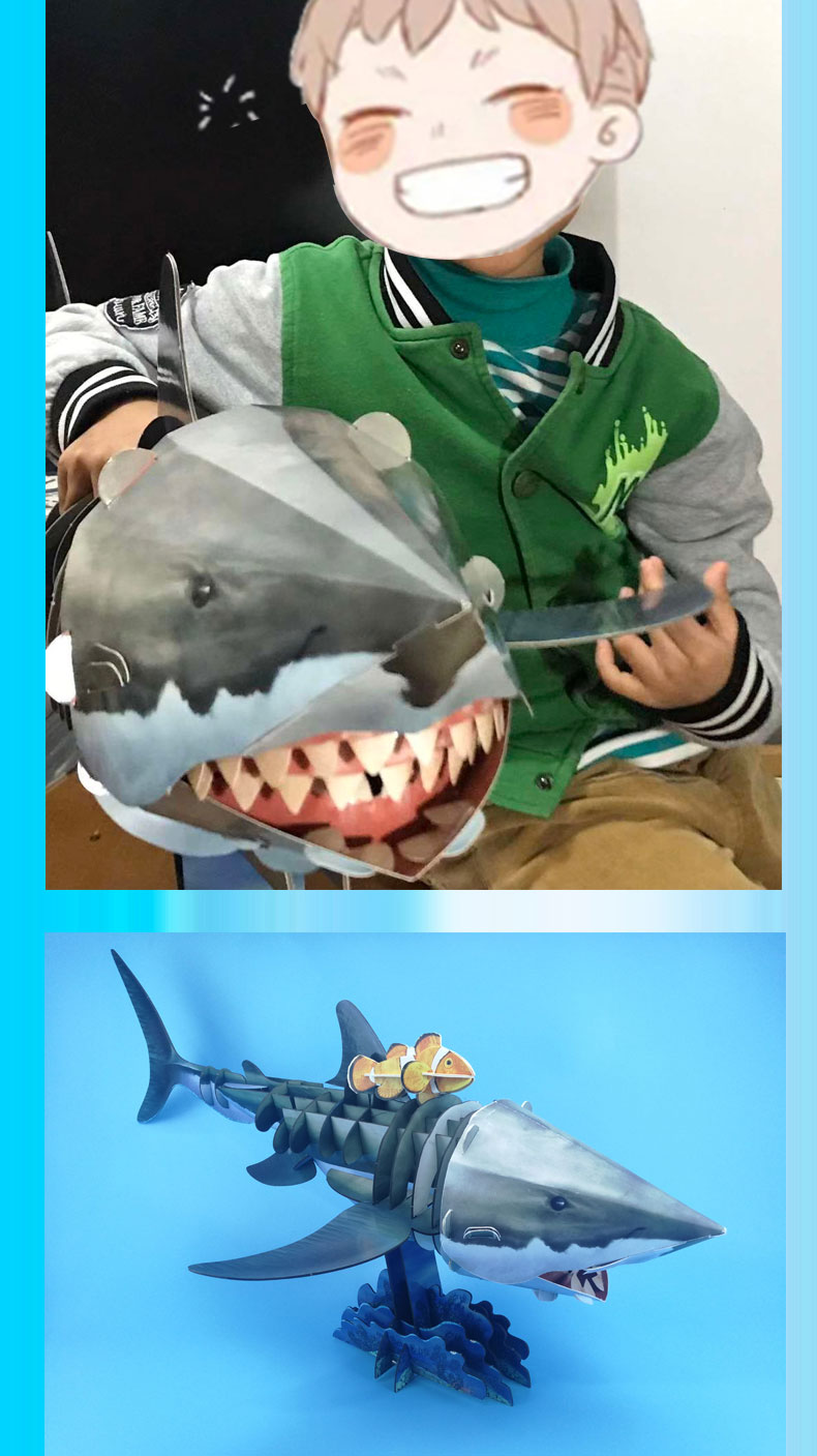 给孩子的超级模型(鲨鱼)3-6岁儿童手工拼搭模型 亲子互动游戏模型