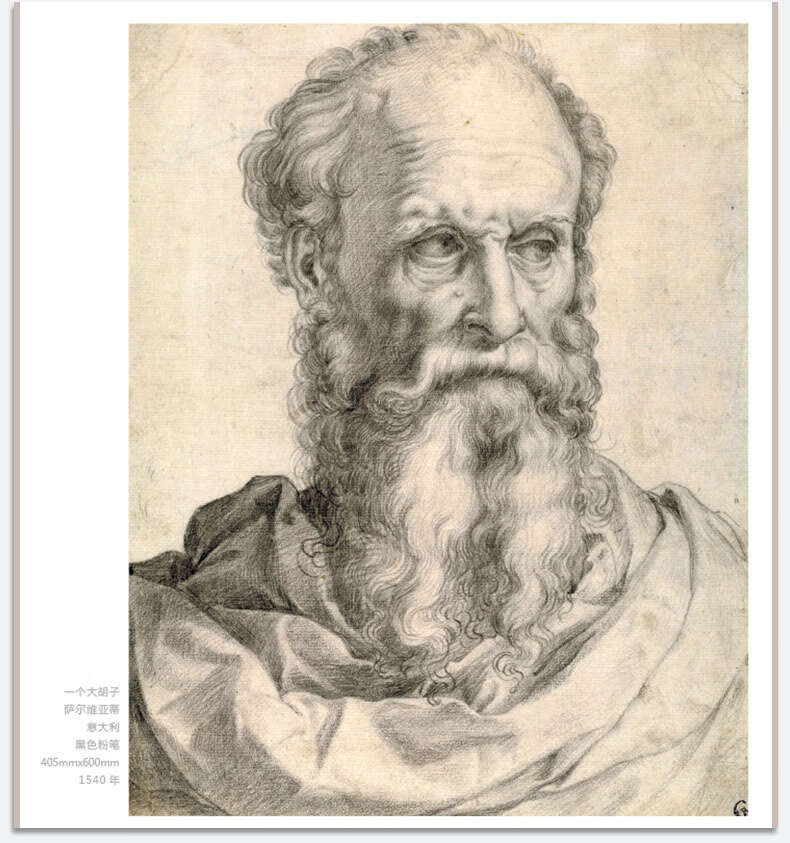 经典全集系列丛书:500年大师经典素描肖像