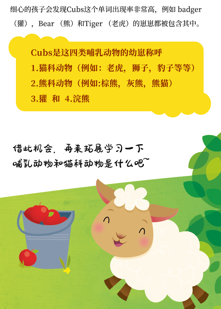 英文原版绘本森林动物住哪里animalhomesintheforest1本趣味机