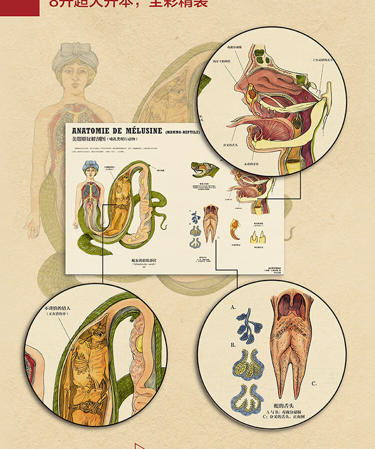 未读探索家博物学家的神秘动物图鉴新版超自然变形动物图鉴套装共2册
