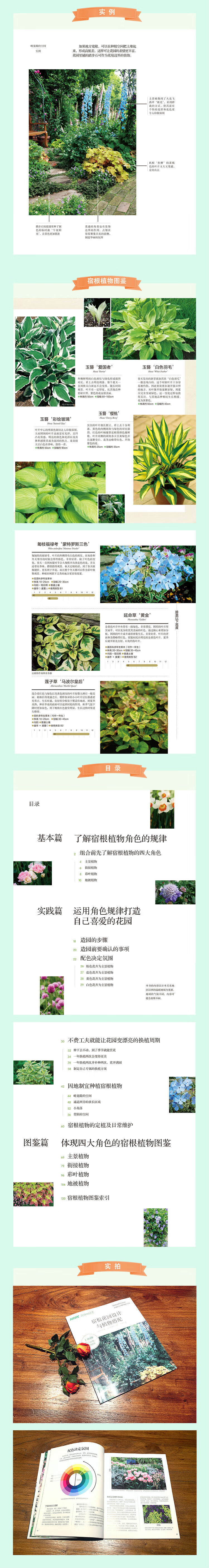宿根花园设计与植物搭配 日本nhk出版 摘要书评试读 京东图书