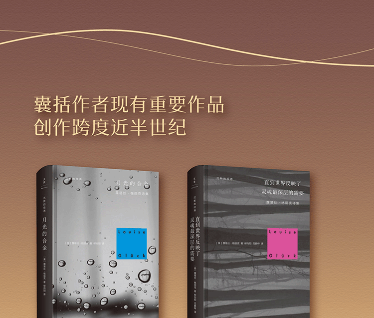 2020年诺贝尔文学奖得主露易丝·格丽克作品 直到世界反映了灵魂最