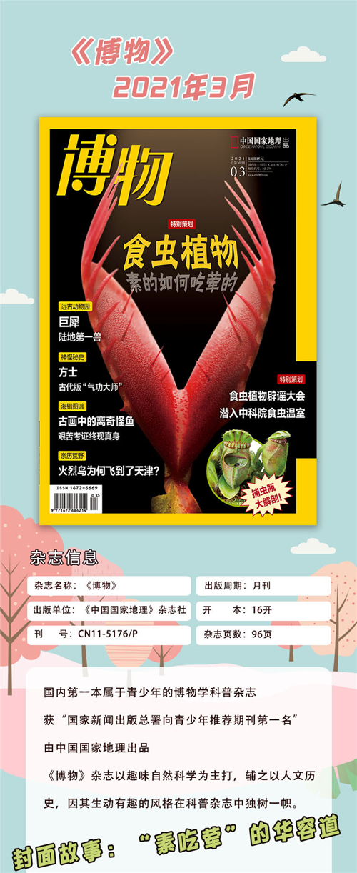 博物21年3月号中国国家地理青春少年版博物君式科普百科期刊京东自营 单之蔷 摘要书评试读 京东图书