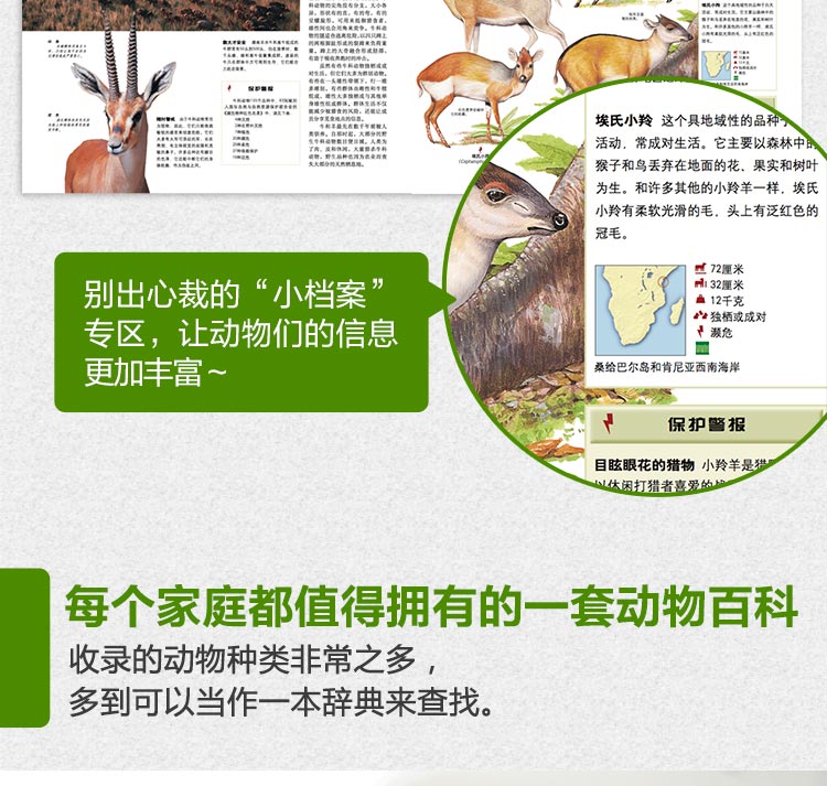 美国weldon Owen儿童世界动物百科全书 美 珍妮 布鲁斯 卡伦 麦吉 卢巴 范吉鲁娃 理查德 沃格特 摘要书评试读 京东图书
