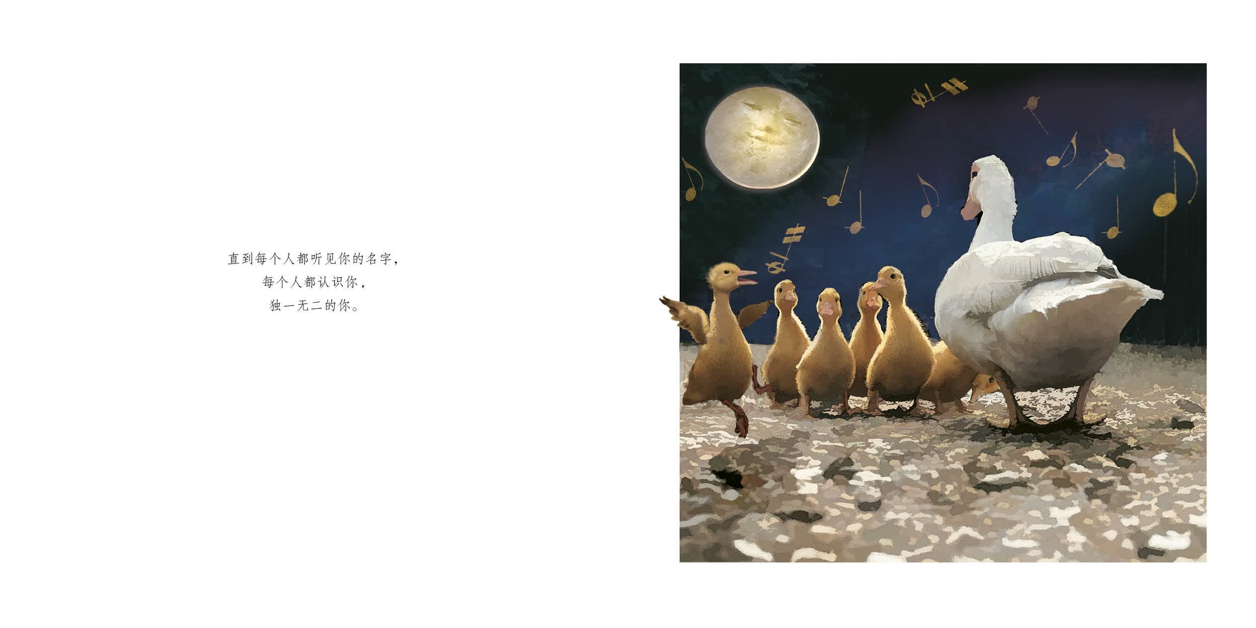 《袜子怪找袜子 精装新版 (麦克米伦世纪童书)蜗牛叔叔趣味儿童绘本