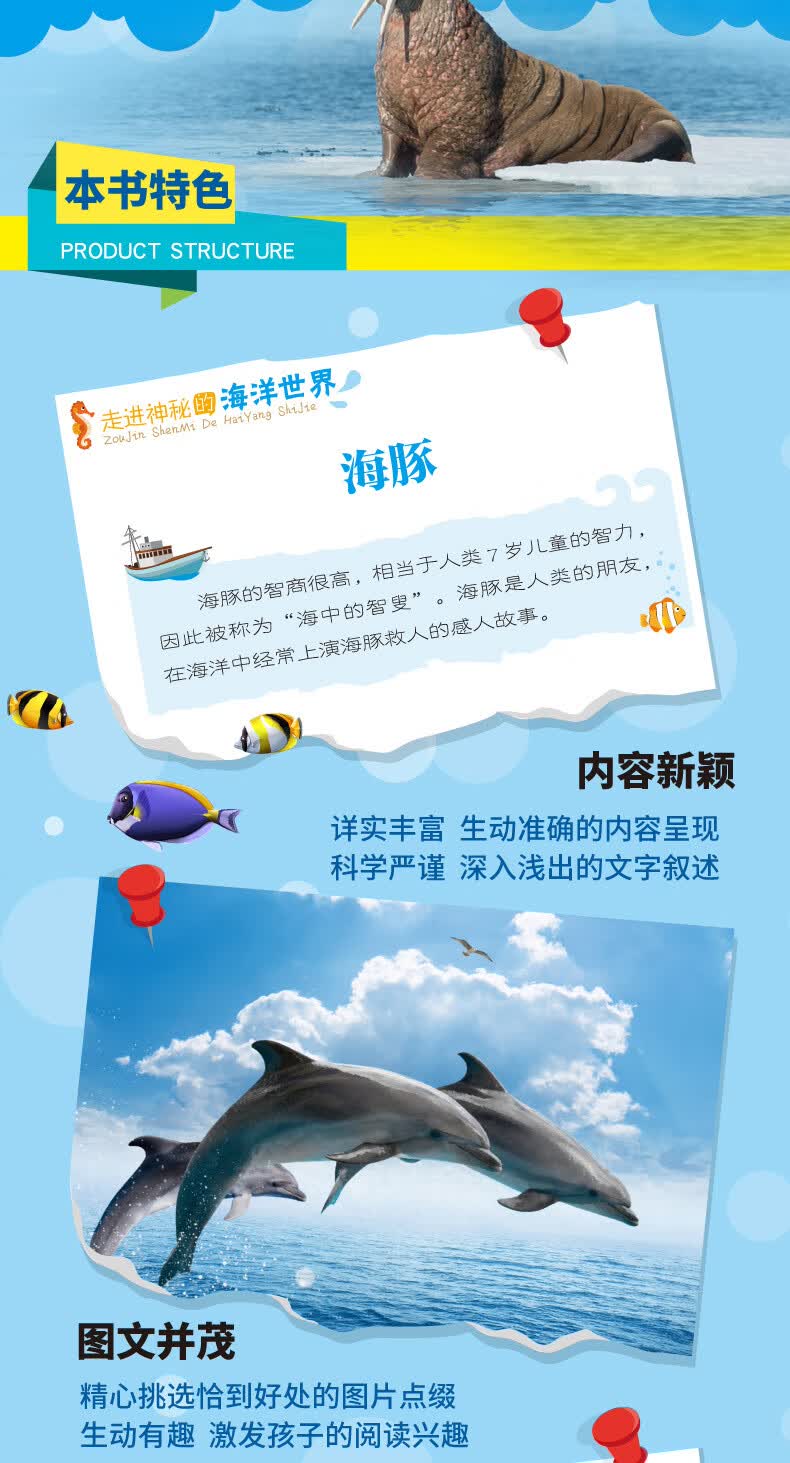 《走进神秘的海洋:海底世界揭秘 儿童科普百科全书 少儿课外读物 套装
