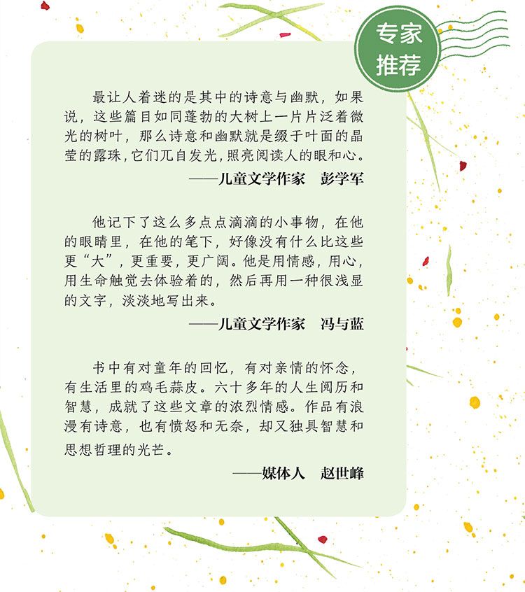 绿光芒 3版 梅子涵 摘要书评试读 京东图书 绿光芒 3版 梅子涵 摘要书评试读 京东图书