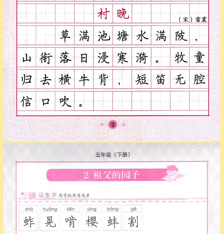 五年级语文课本同步练字帖下册规范字人民教育出版社编审顾振彪审定
