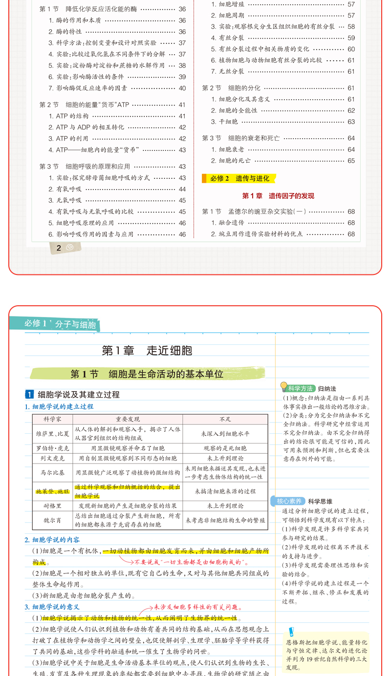 学霸笔记高中数学物理化学生物 新教材新高考 22版必修 选择性必修4本套装pass绿卡图书高一高二高三高考数理化生理科讲解复习资料 牛胜玉 摘要书评试读 京东图书