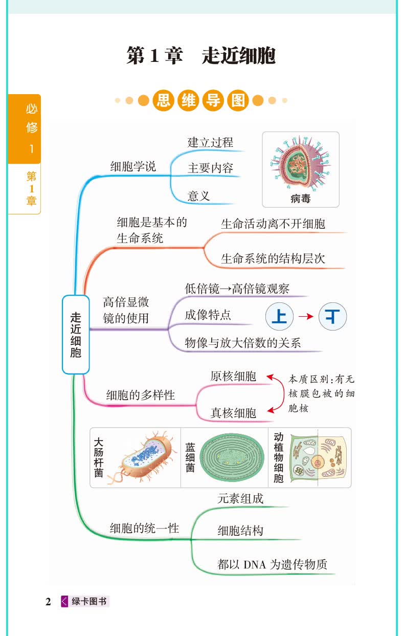 图解速记 高中生物 通用版 【新教材 新高考】适用必修选择性必修 22