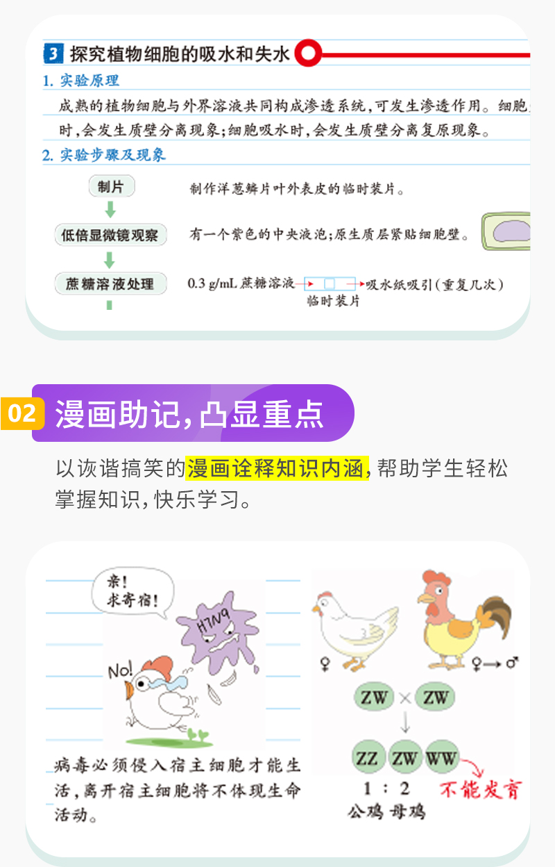 学霸笔记高中数学物理化学生物 新教材新高考 22版必修 选择性必修4本套装pass绿卡图书高一高二高三高考数理化生理科讲解复习资料 牛胜玉 摘要书评试读 京东图书