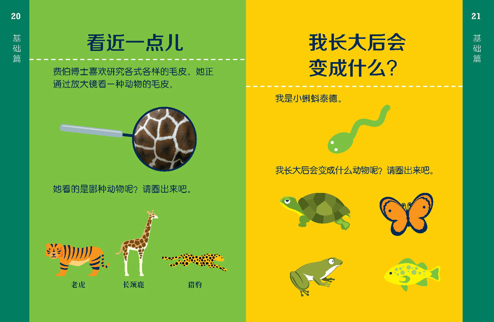 学前儿童全科知识套装共8册柠檬