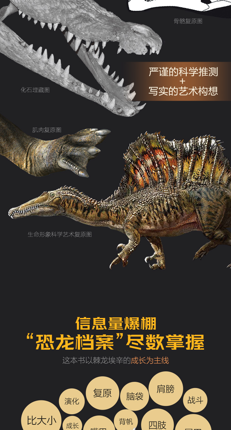 棘龙埃辛的秘密 开在家里的恐龙博物馆 6岁 杨杨 摘要书评试读 京东图书