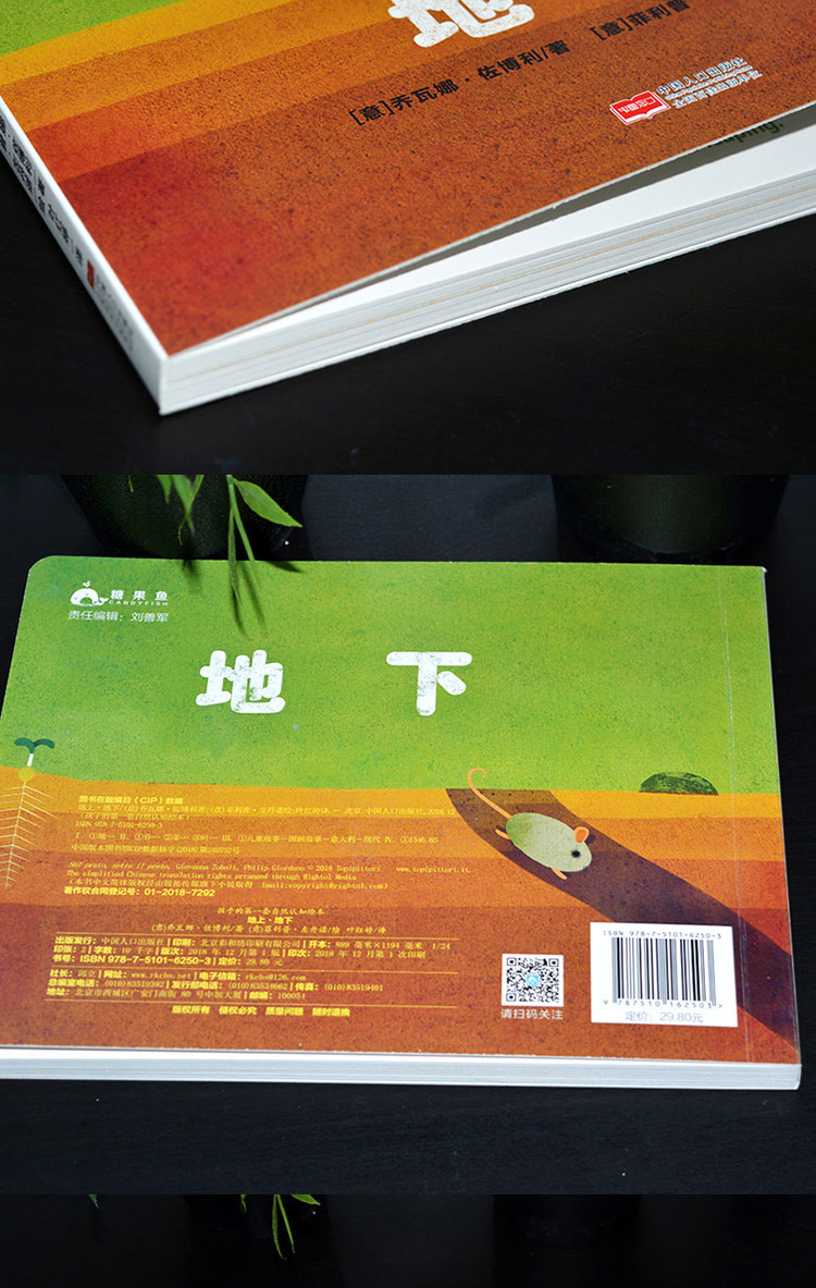 孩子的第一套自然认知绘本地上地下