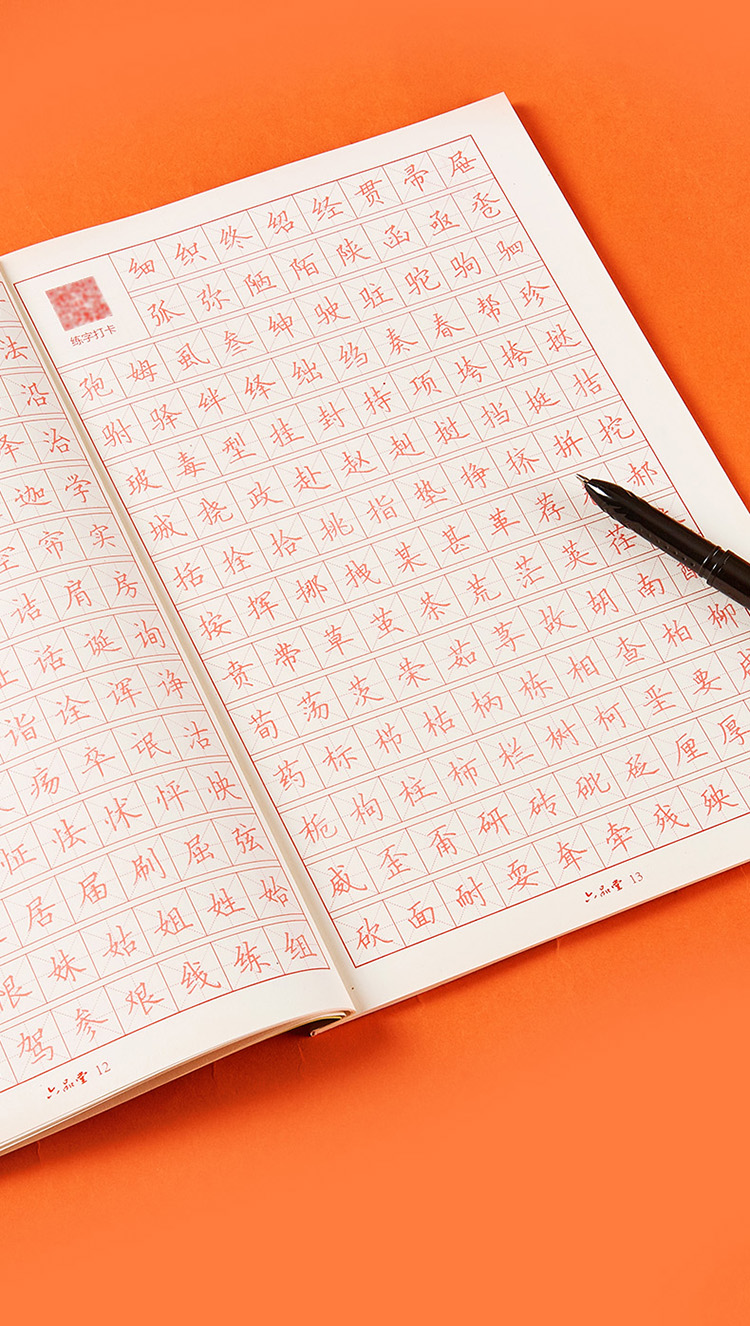 字帖正楷入门练字帖5000常用字基础训练中小学生儿童写字帖临摹练字本