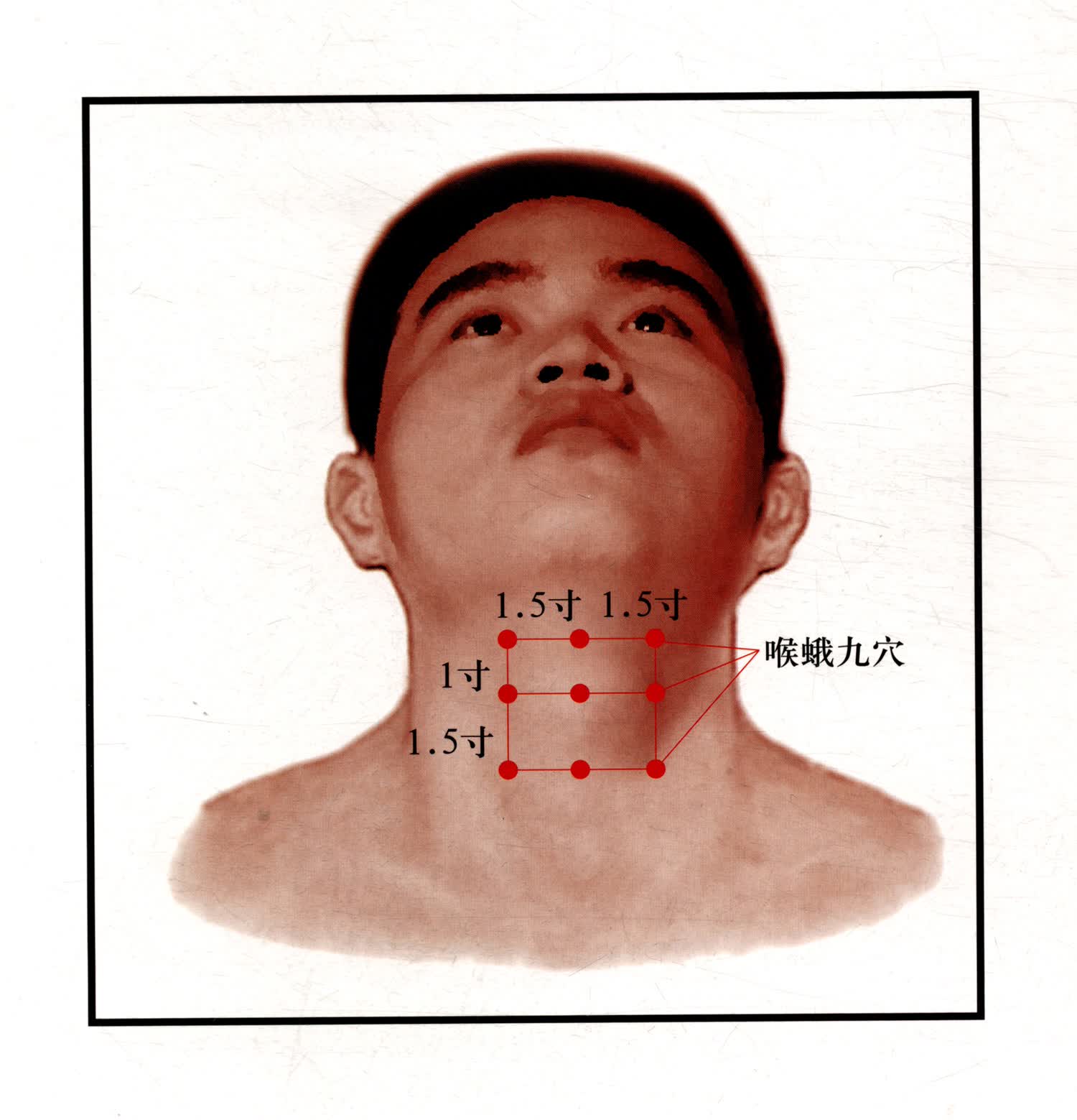 《穴位图 挂图 董氏奇穴穴位挂图 董氏奇穴针灸学》【摘要 书评 试读