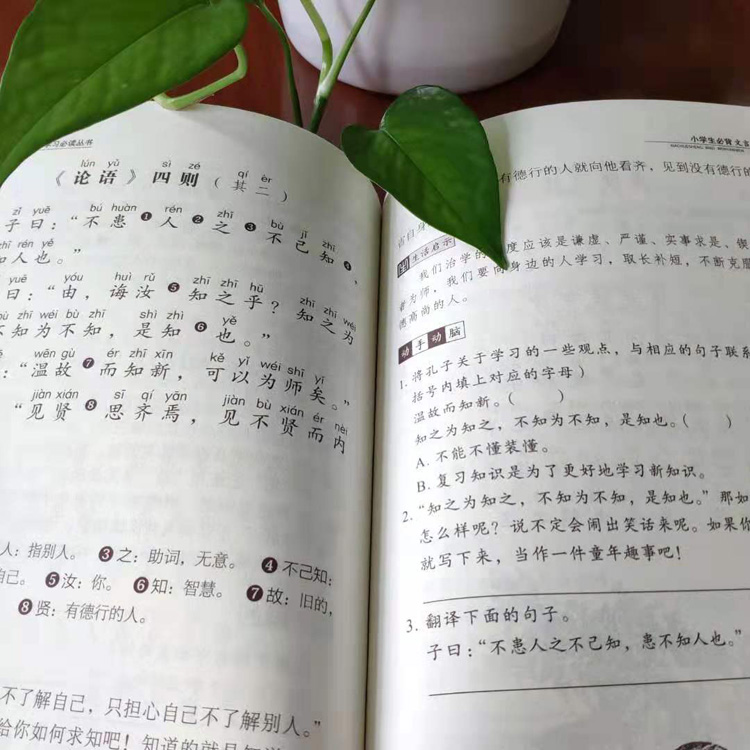 小学生必背文言文