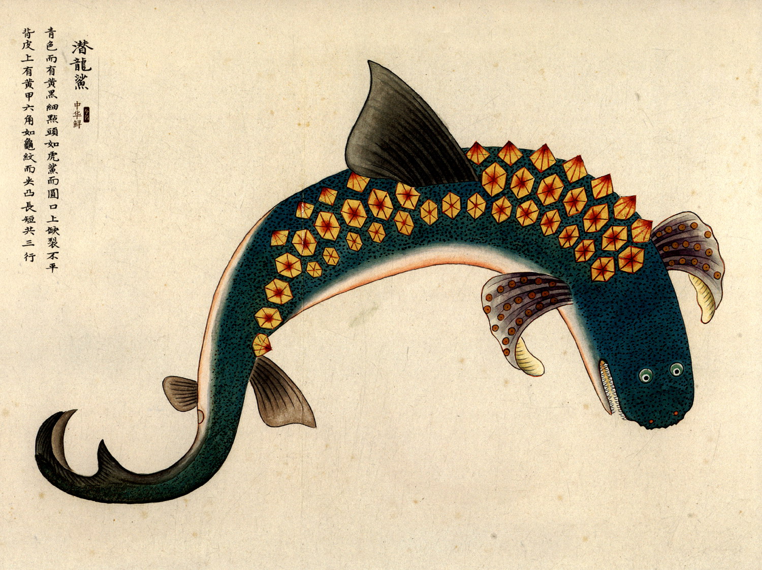 故宫藏手绘海错图以所选系列为准