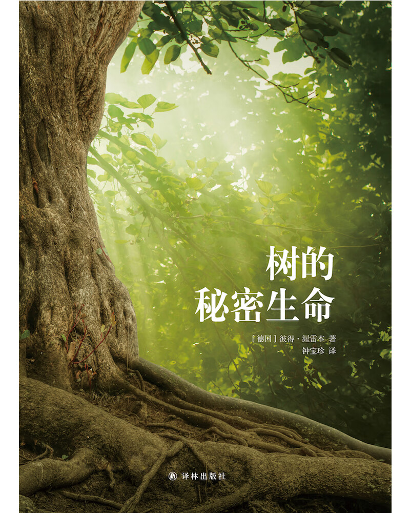 树的秘密生命