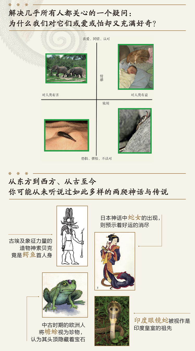 无穷小亮推荐 两栖爬行动物的神话与传说 美 马蒂 克伦普 摘要书评试读 京东图书 无穷小亮推荐 两栖爬行动物的神话与传说 美 马蒂 克伦普 摘要书评试读 京东图书