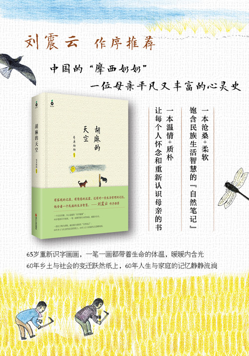 胡麻的天空