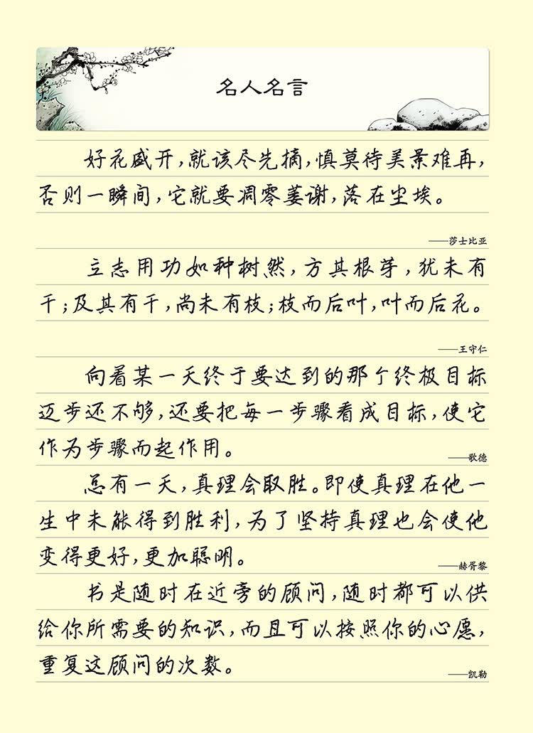 墨点字帖墨点练字宝王正良行书字帖7天学会行书凹槽字帖硬笔书法字帖
