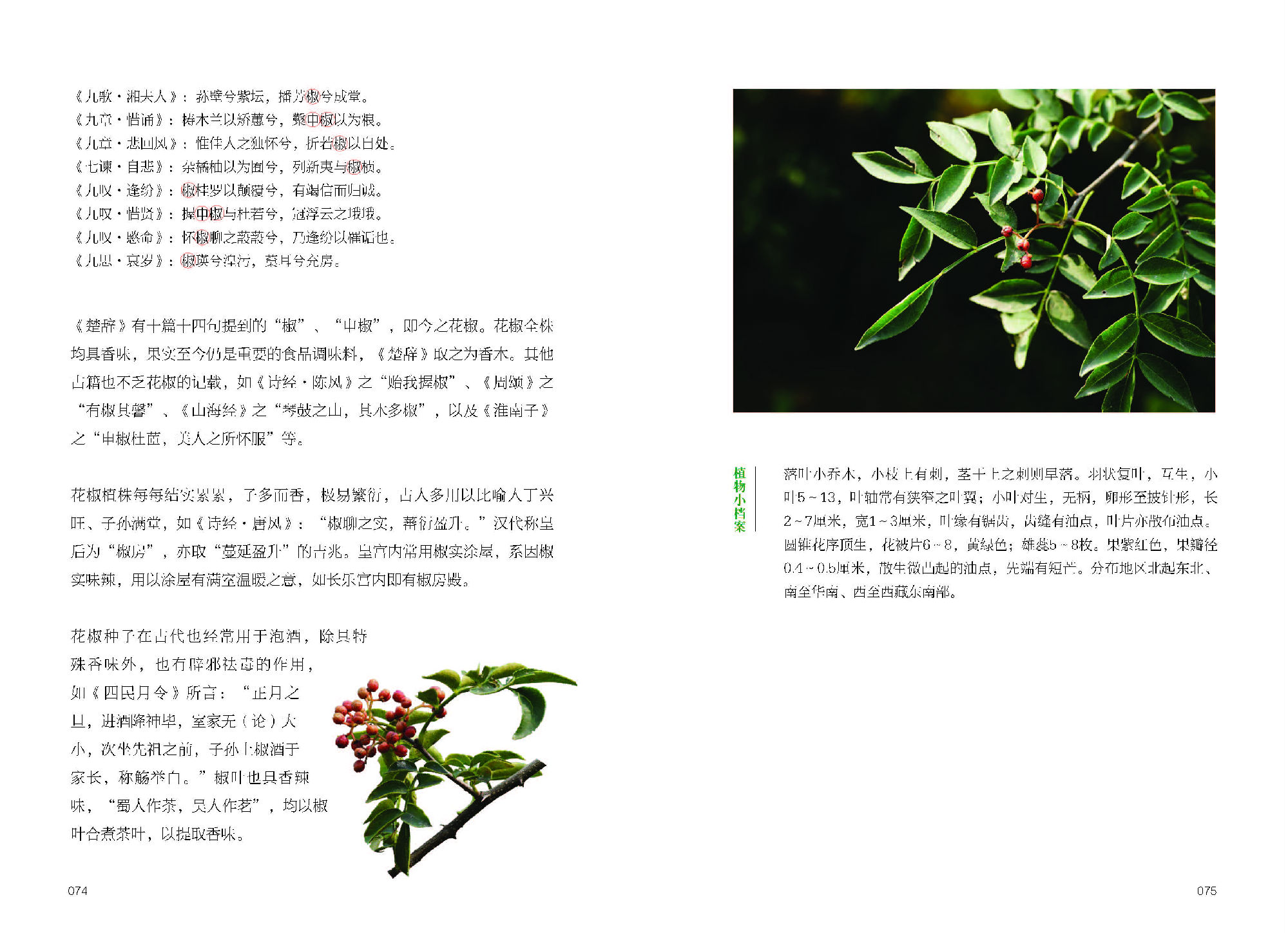 古典文学中的植物世界 套装共3册 诗经 楚辞 唐诗植物图鉴 潘富俊 摘要书评试读 京东图书