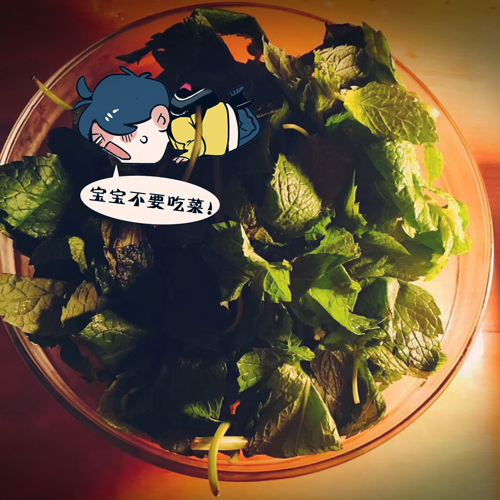 (2)500.jpg 快把我哥带走.2