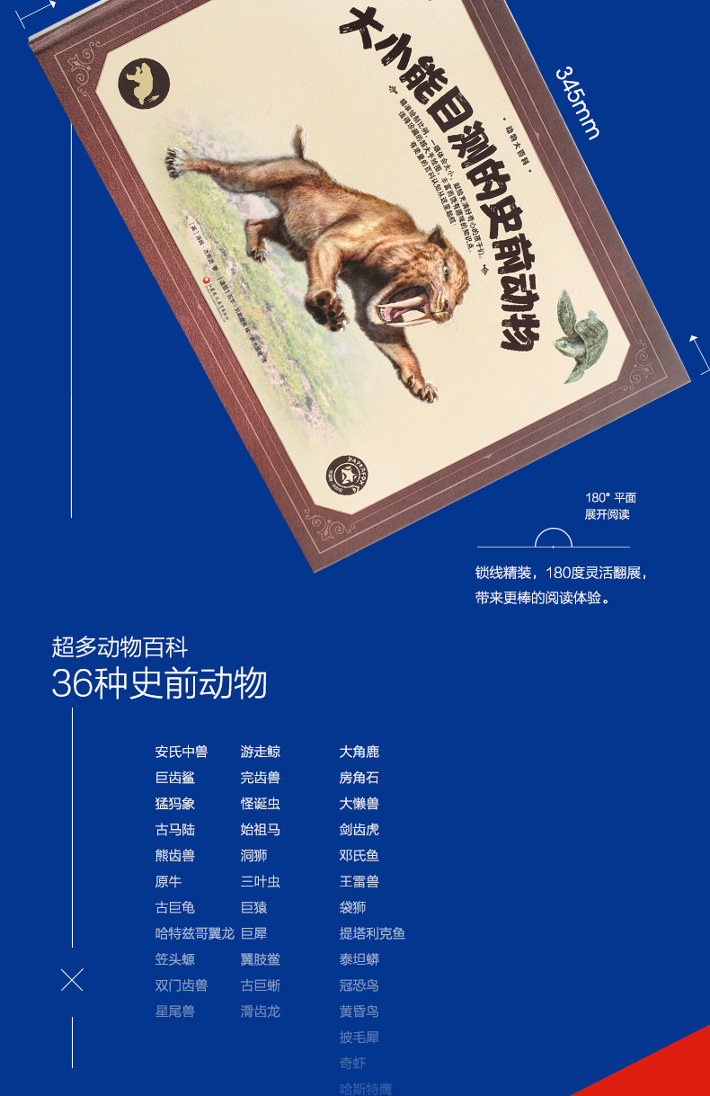 新书--(精装绘本)动物大百科:大小能目测的史前动物江苏凤凰教育(英)