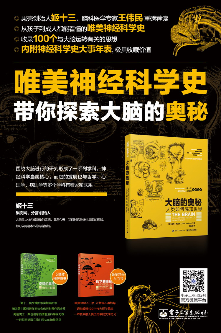 大脑的奥秘:人类如何感知世界