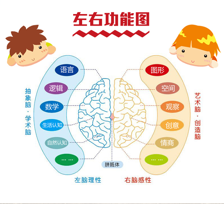 阳光宝贝全脑训练营:右脑训练(3)