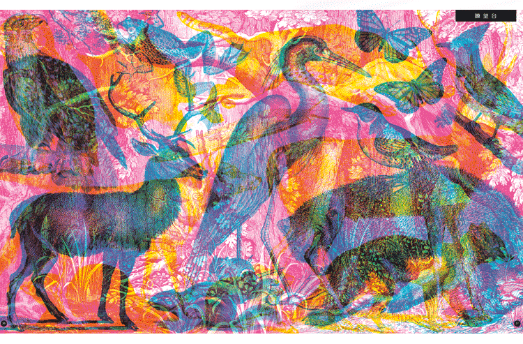 看法,颠覆你对图书的全部想象 裸眼看时,是令人炫目的大幅彩色图画,戴